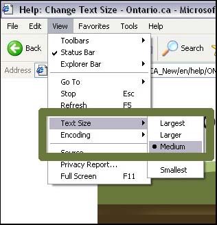 Change Text Size: Internet Explorer 6
